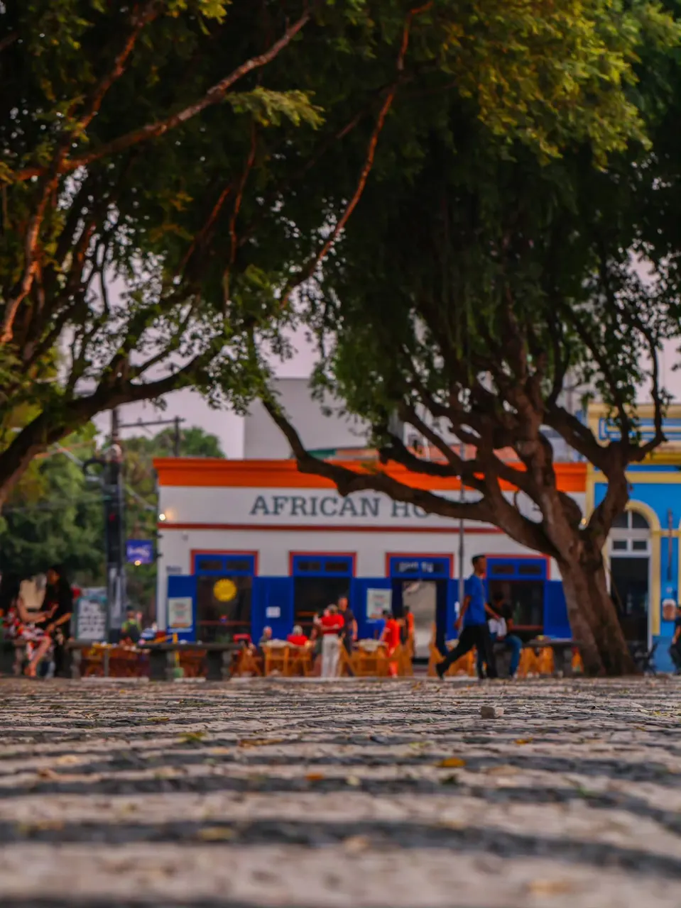Teatro Amazonas, Manaus — fotografia de Péricles Dias