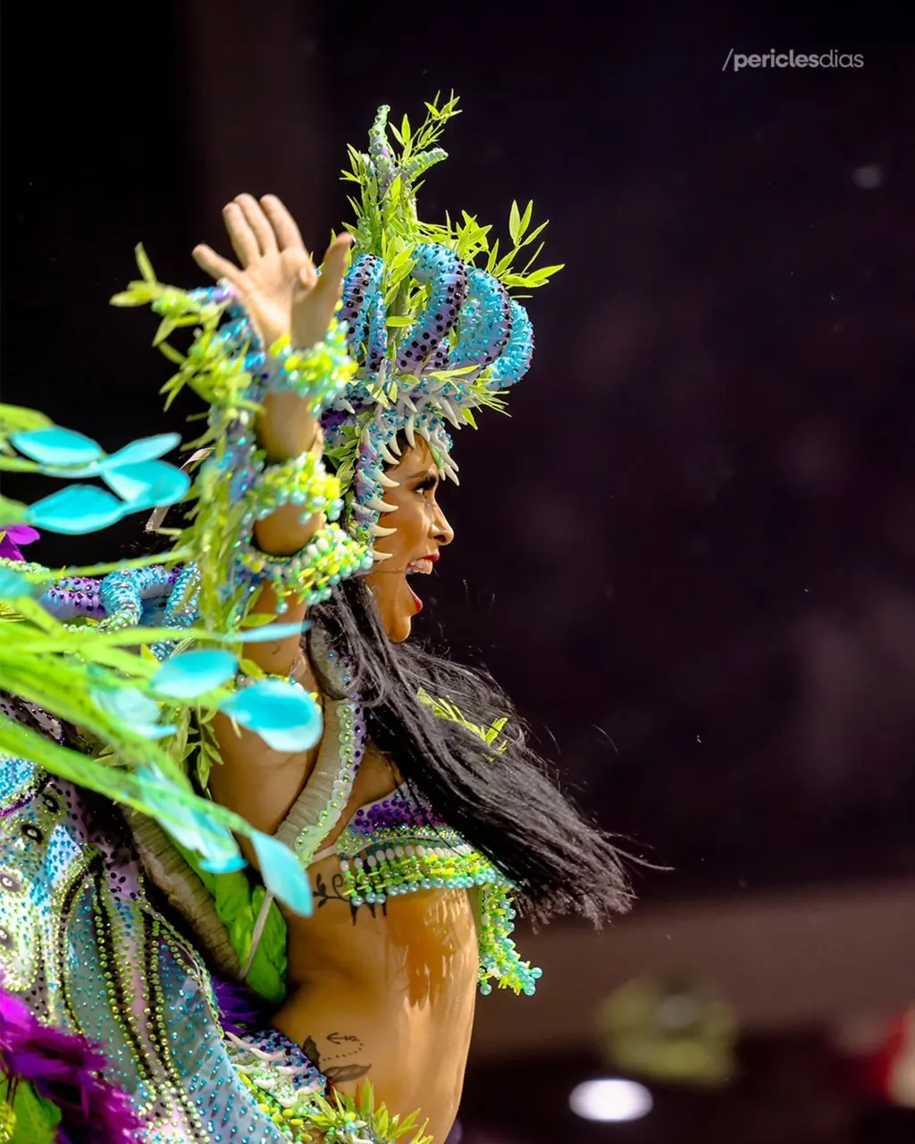Festival de Parintins 2026 · Boi Caprichoso