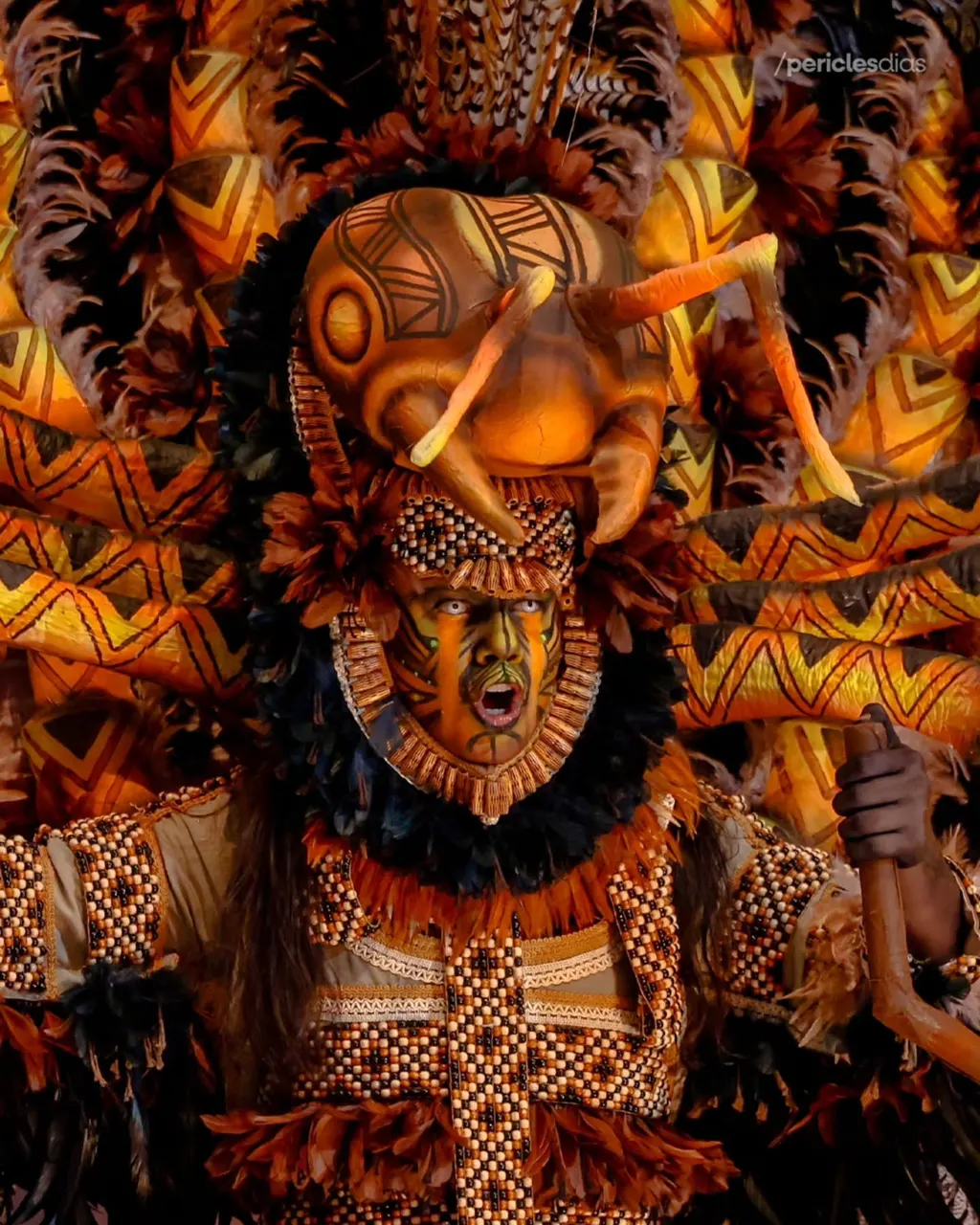 Festival de Parintins 2026 · Boi Caprichoso
