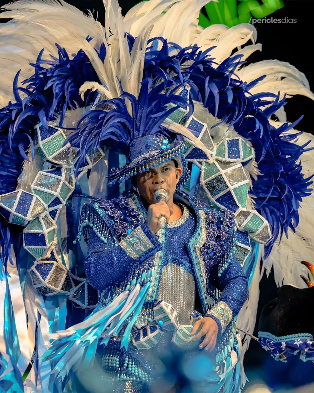 Festival de Parintins 2026 · Boi Caprichoso