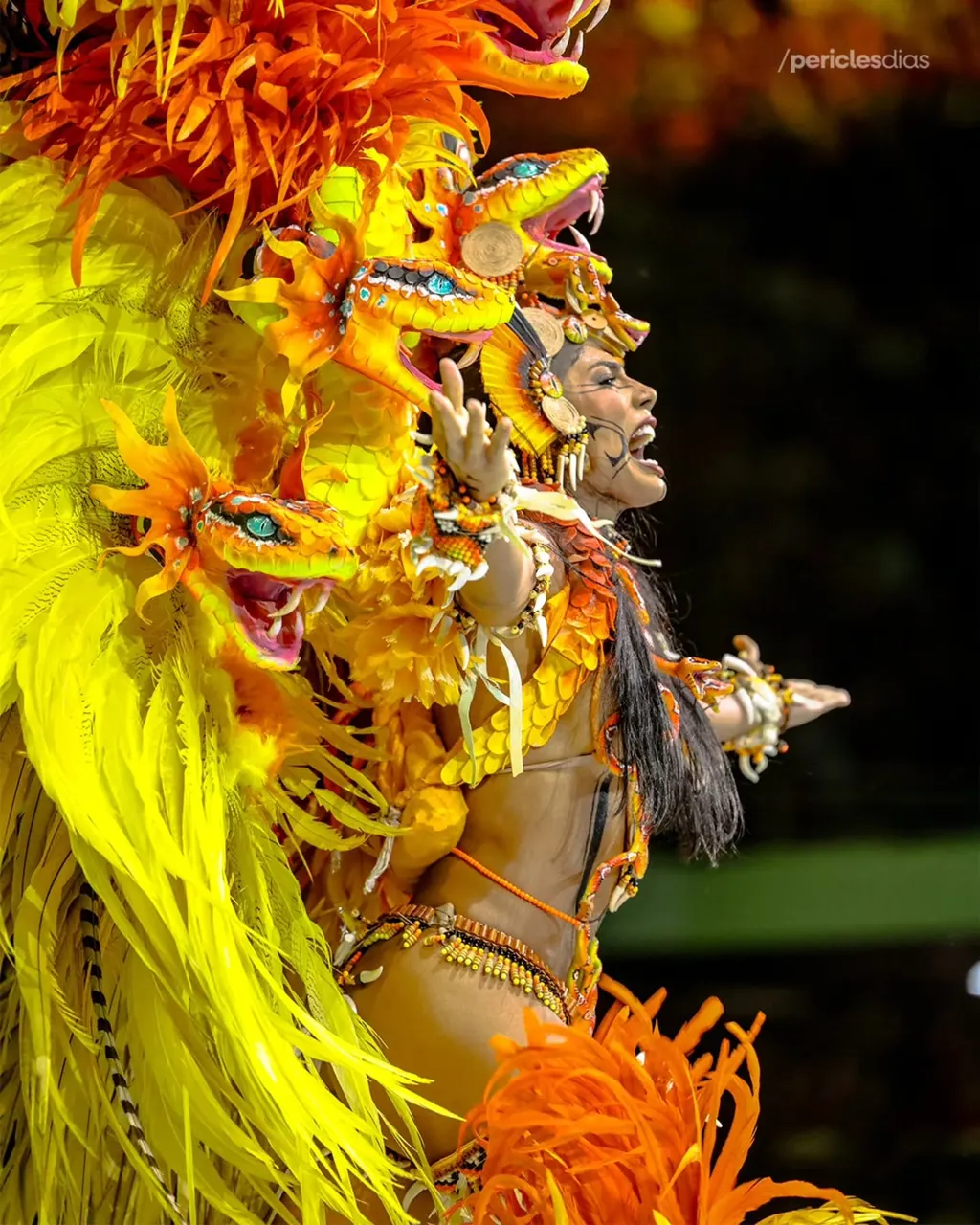 Festival de Parintins 2026 · Boi Caprichoso