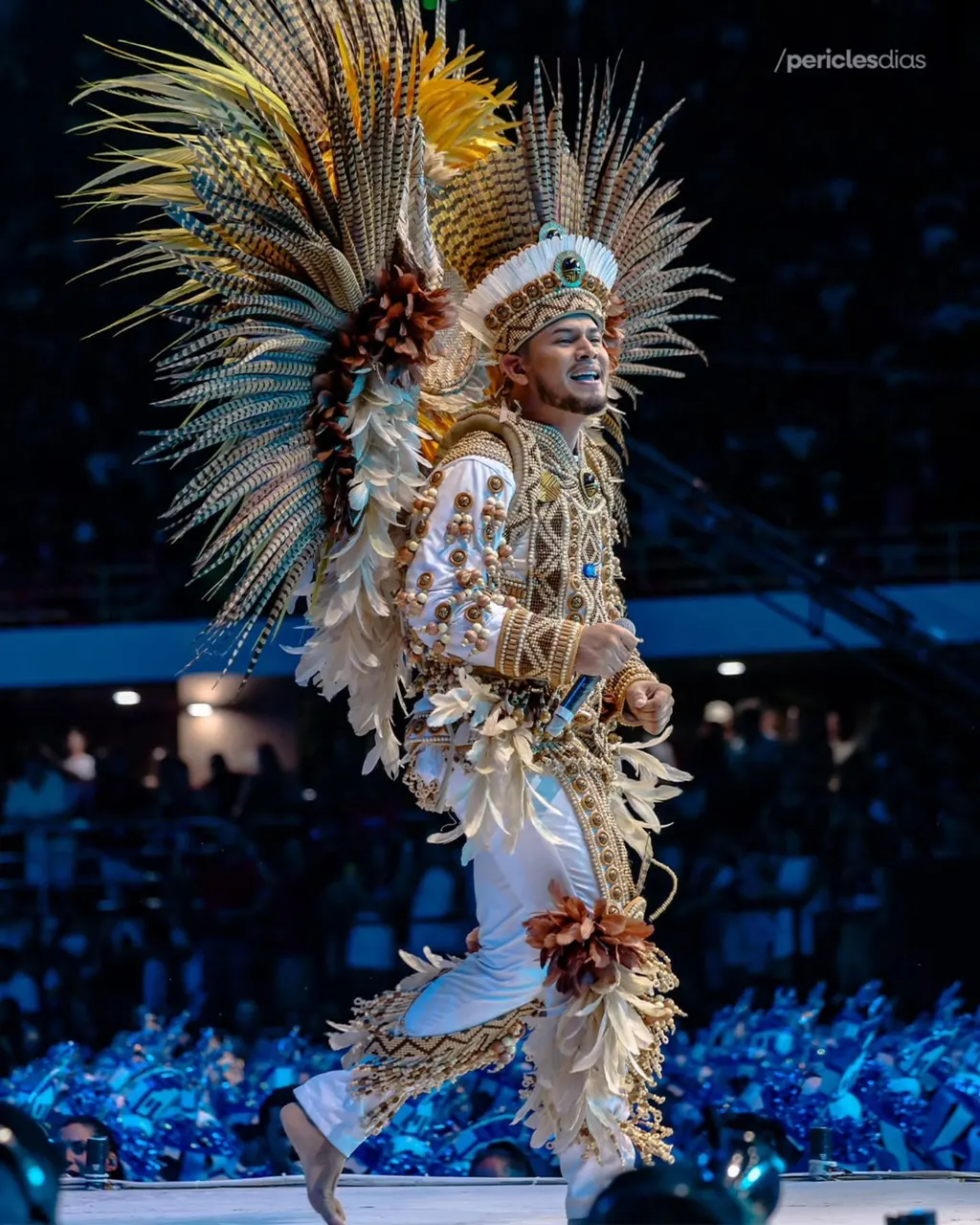 Festival de Parintins 2026 · Boi Caprichoso