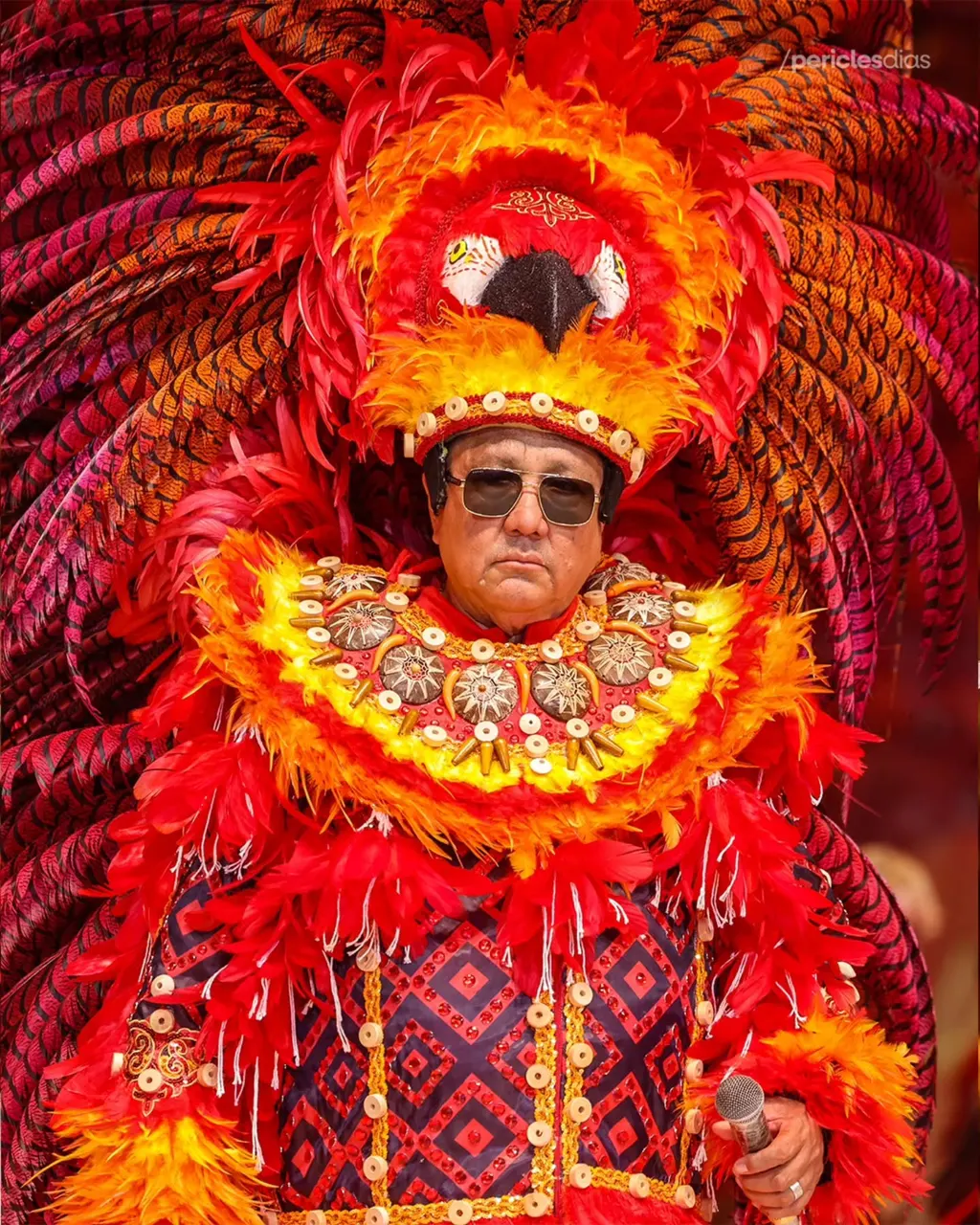 Festival de Parintins 2026 · Boi Garantido