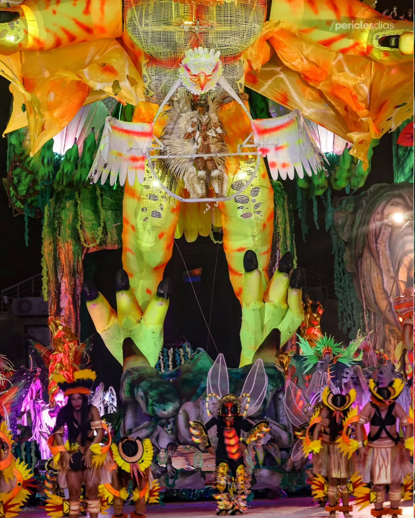 Festival de Parintins 2026 · Boi Garantido — Péricles Dias