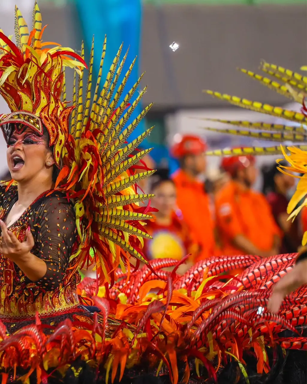 Carnaval da Floresta 2026