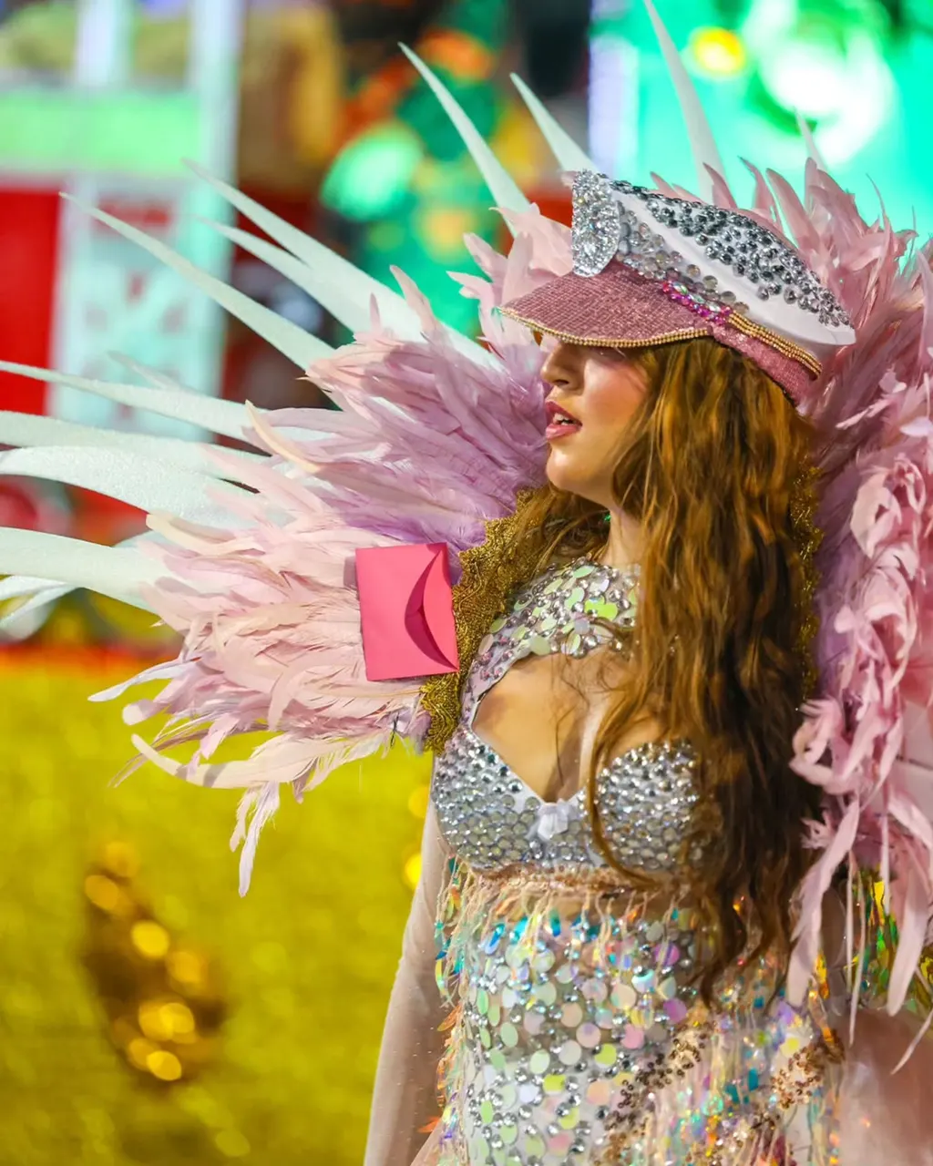Carnaval da Floresta 2026